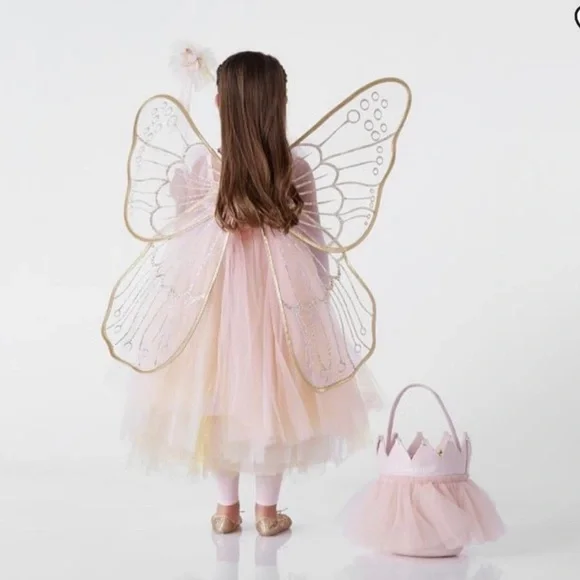 Pottery Barn Faerie Costume size 3T - Picture 1 of 9